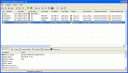 Screenshot of Network Inventory Expert 3.3