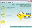 LastBit Word Password Recovery review